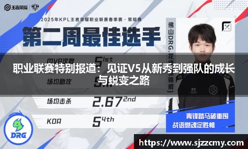 职业联赛特别报道:见证V5从新秀到强队的成长与蜕变之路